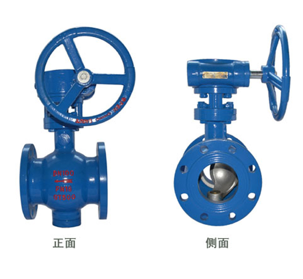 Ecentric Half Ball Valve